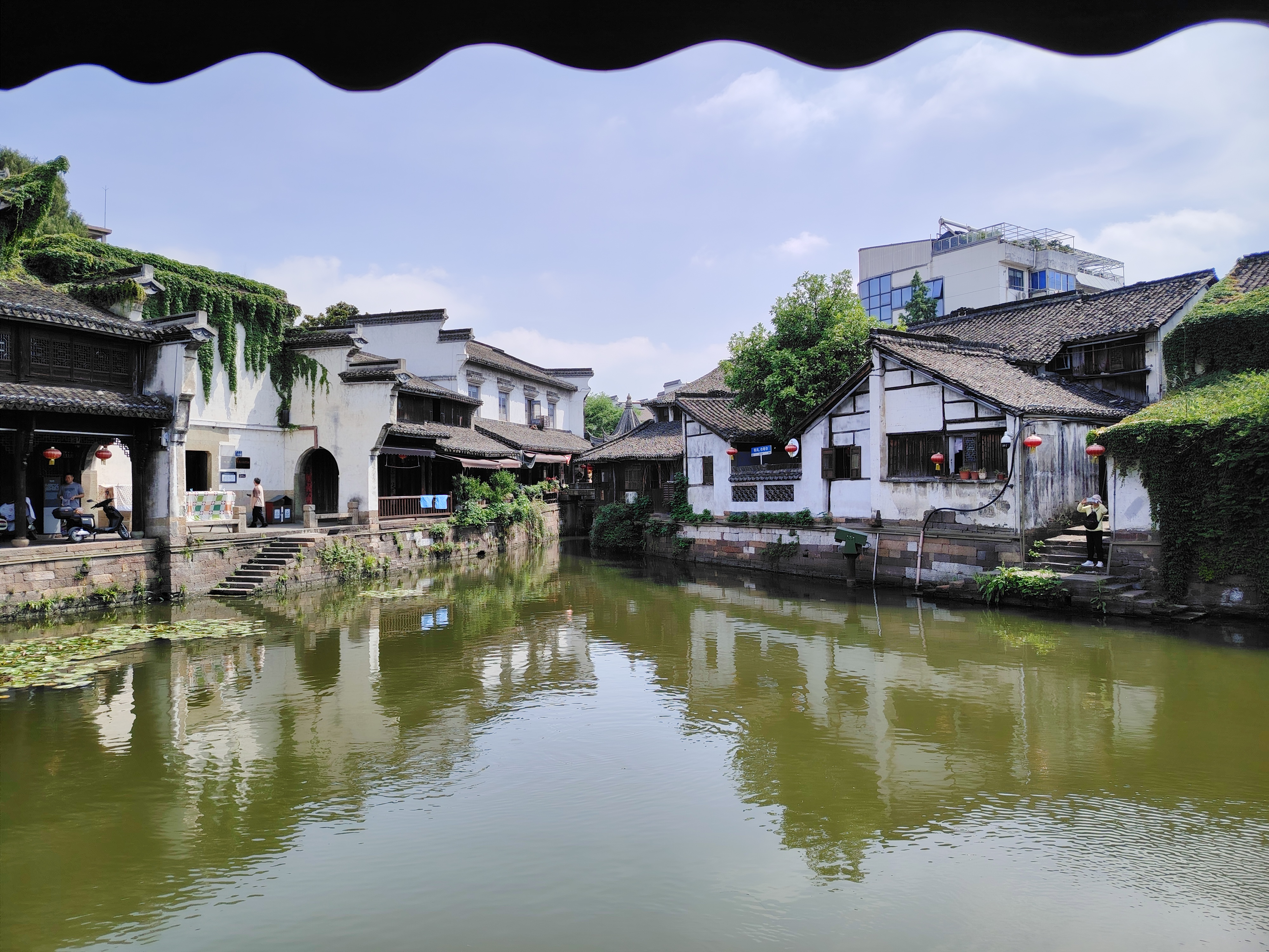 【送5斤.水果采摘】新市枇杷采摘，超甜不限量畅吃，漫步新市古道~