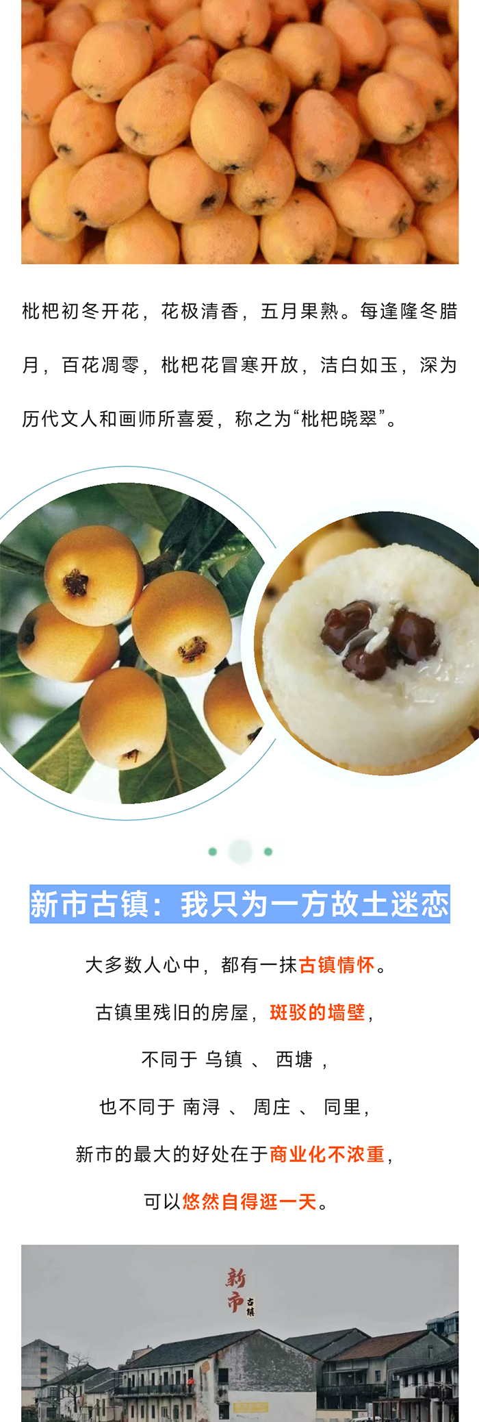 塘栖枇杷_03.jpg