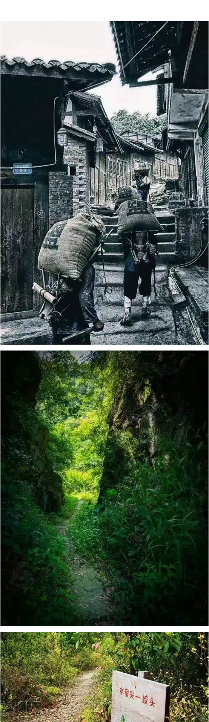 盐帮古道_02.jpg