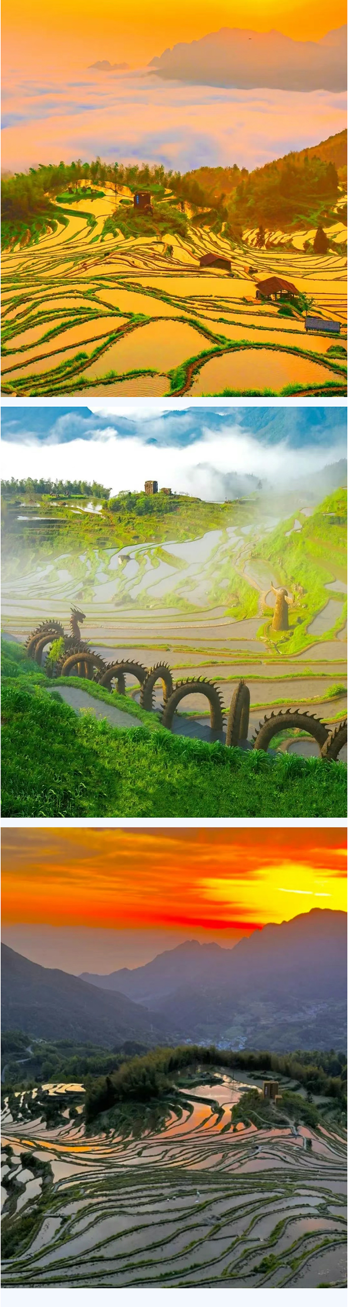 缙云自驾_04.jpg