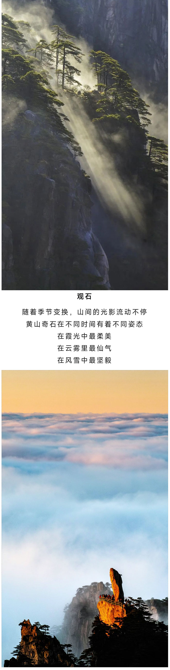 黄山_02.jpg